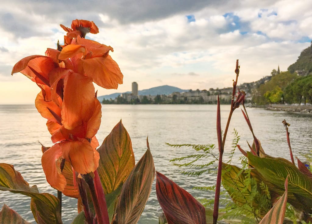 roteiro de 1 dia no lago de genebra