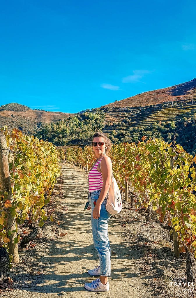 Parreiras na Quinta do Panascal | Região do Douro